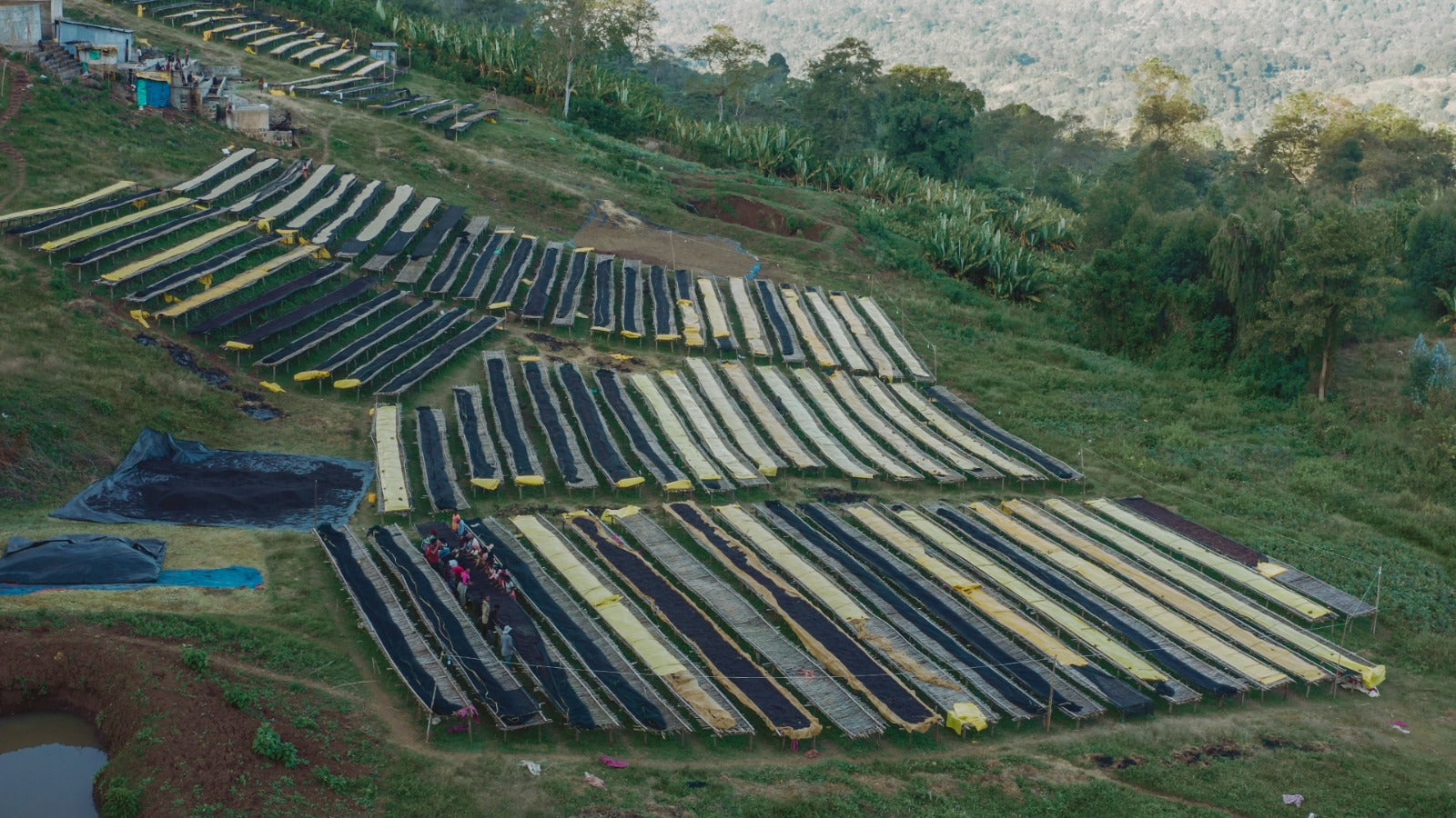 Yabitu Tume, Ethiopia