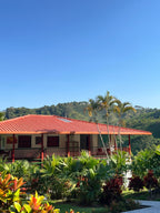 El Vergel Decaf (Natural), Colombia