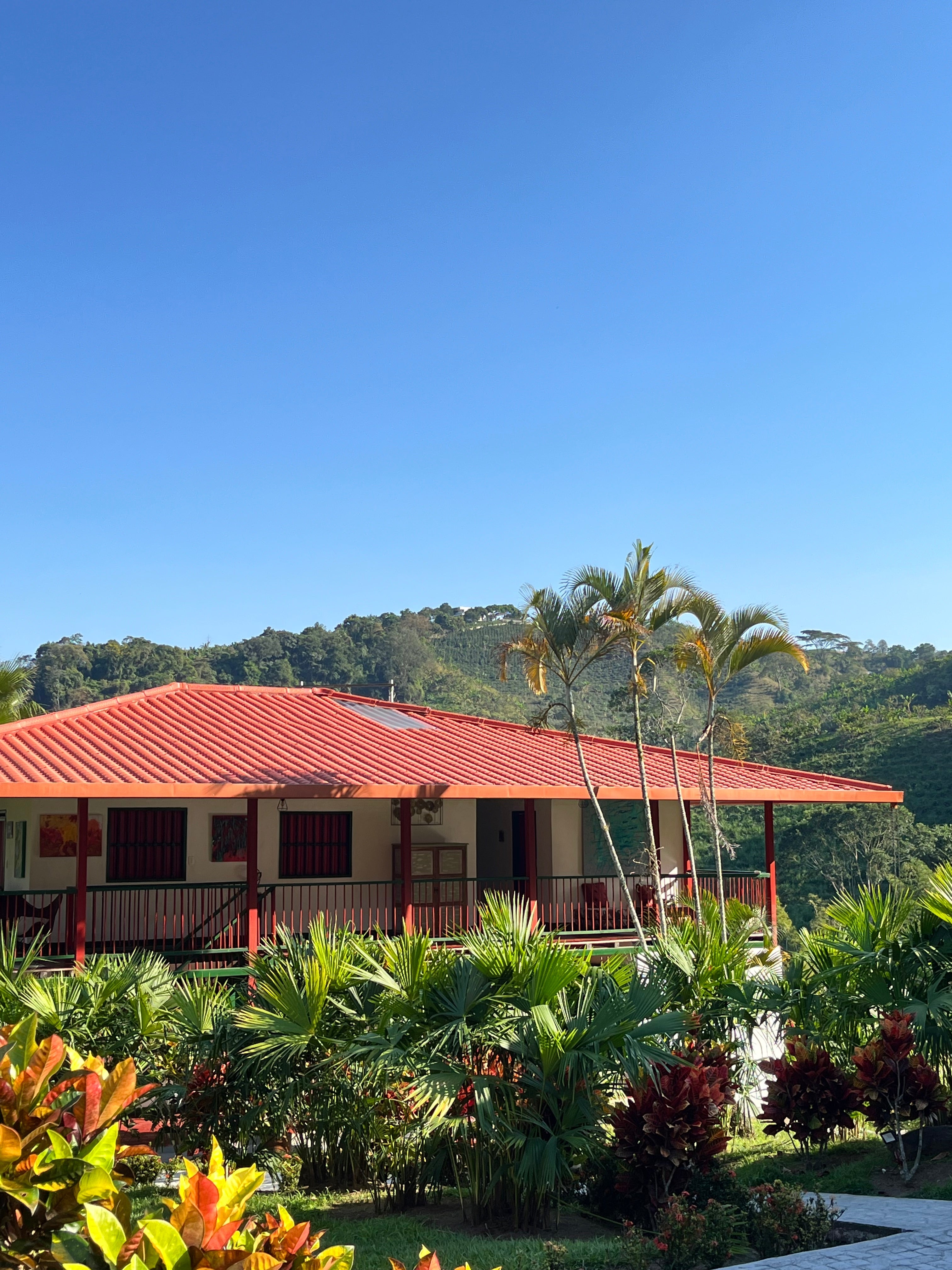 El Vergel Decaf (Natural), Colombia