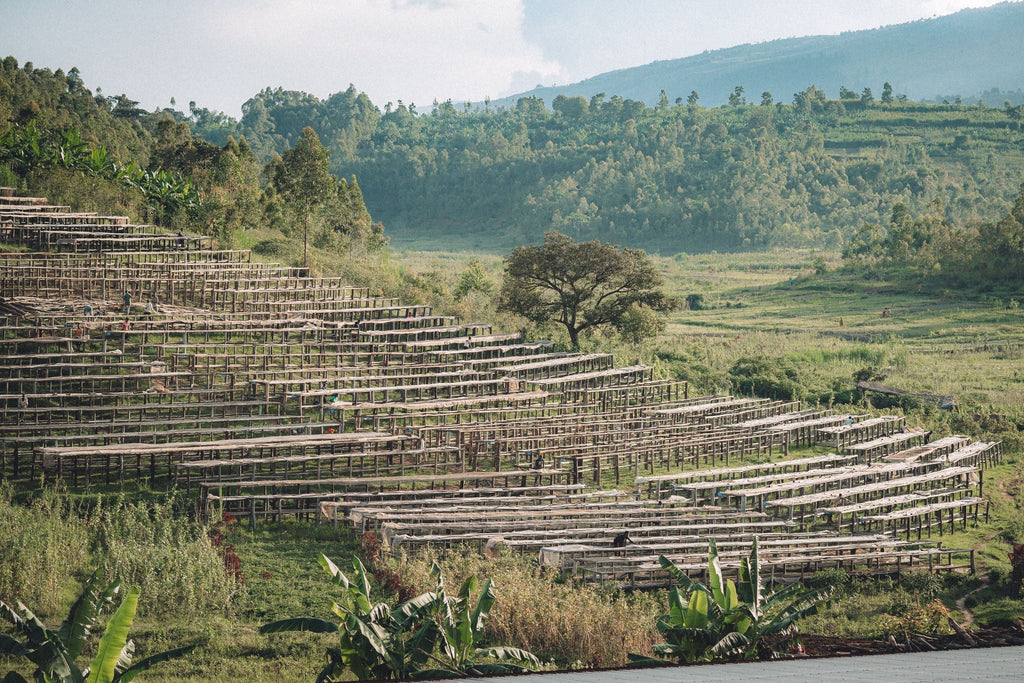 Giku, Burundi