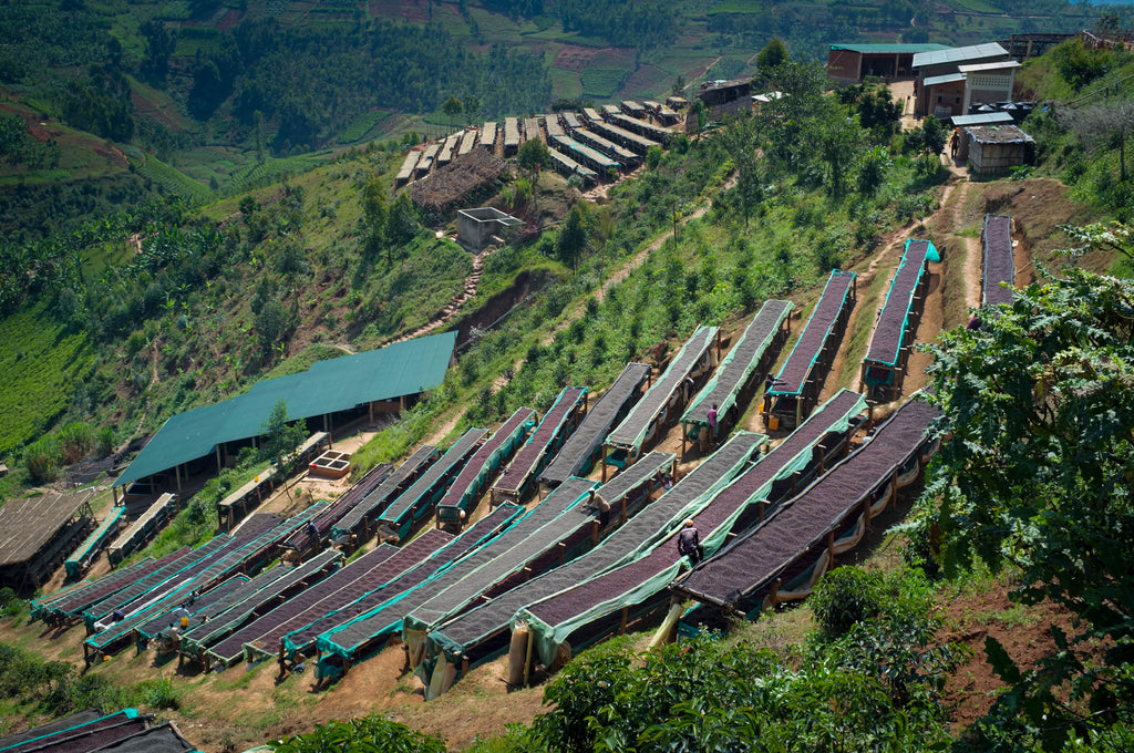 Giku (Honey), Burundi