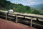 Giku (Honey), Burundi