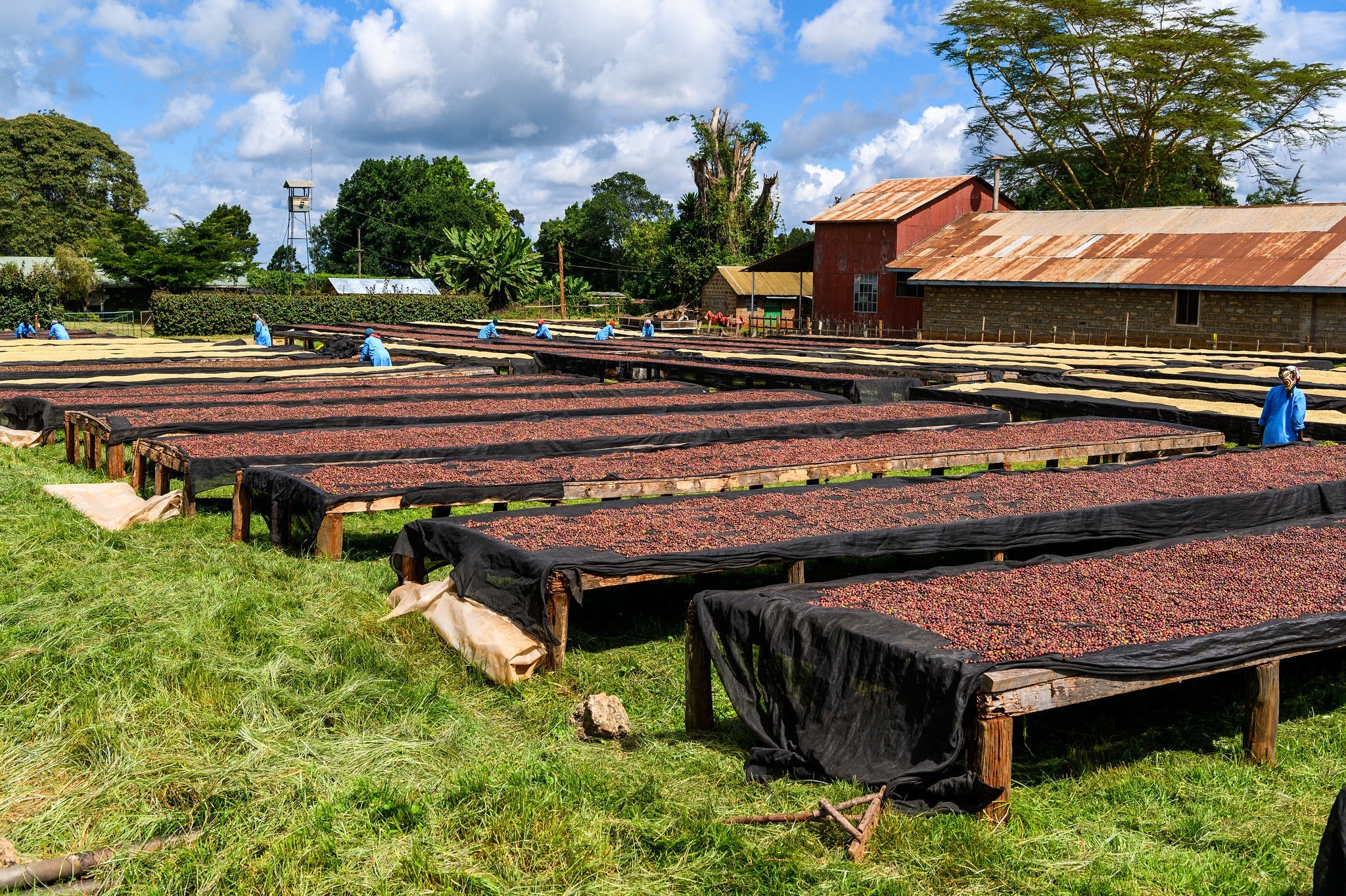 Kamundu, Kenia