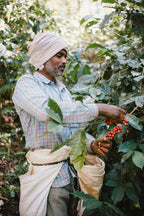 Kerehaklu, India