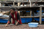 Kisunga, D.R.Congo