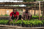 Kisunga, D.R.Congo