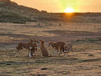 Ky Kebero, Ethiopia