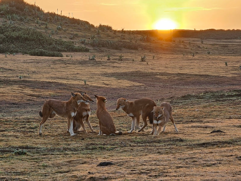 Ky Kebero, Ethiopia