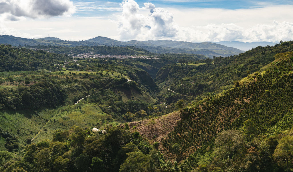 La Muralla, Colombia