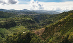 La Muralla, Colombia