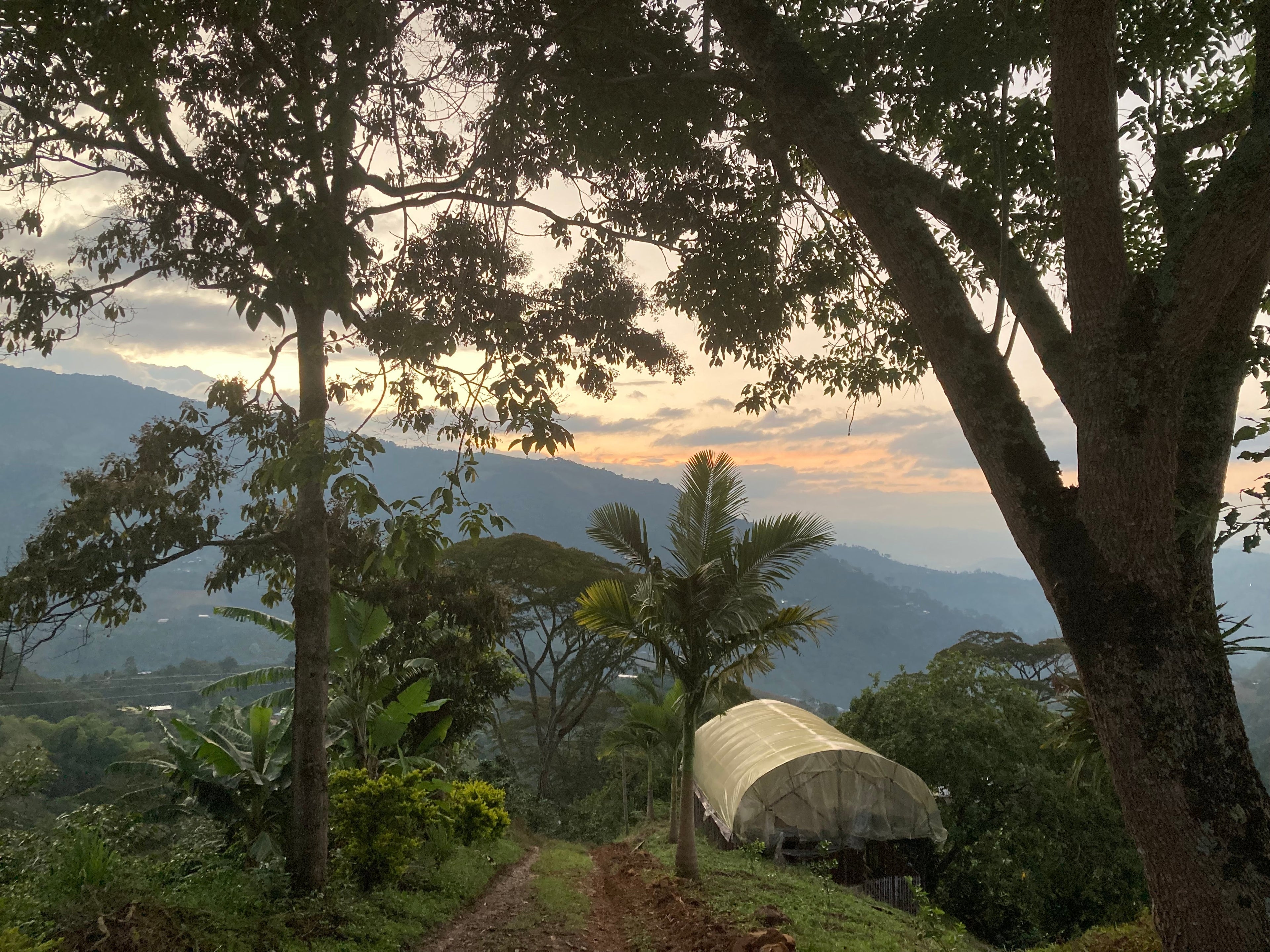 La Muralla, Colombia