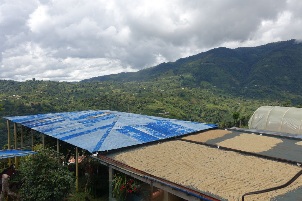 La Muralla, Colombia