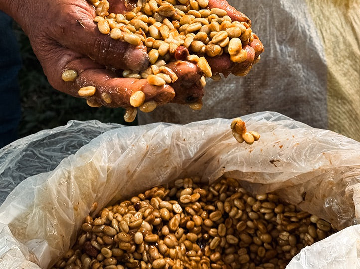 La Palta, Perú
