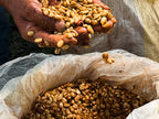 La Palta, Perú