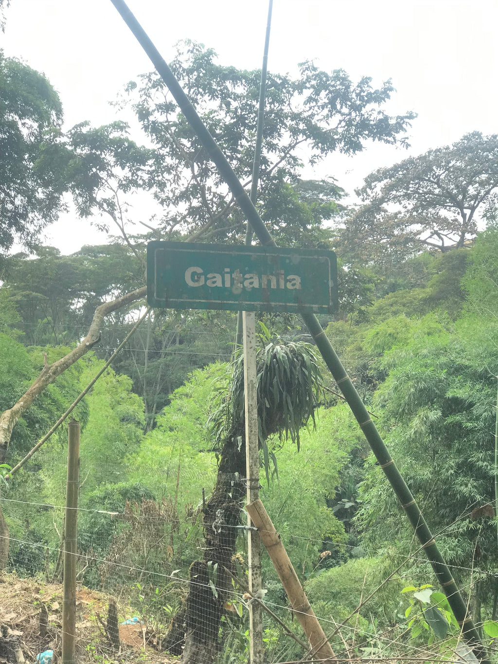 La Roma, Colombia
