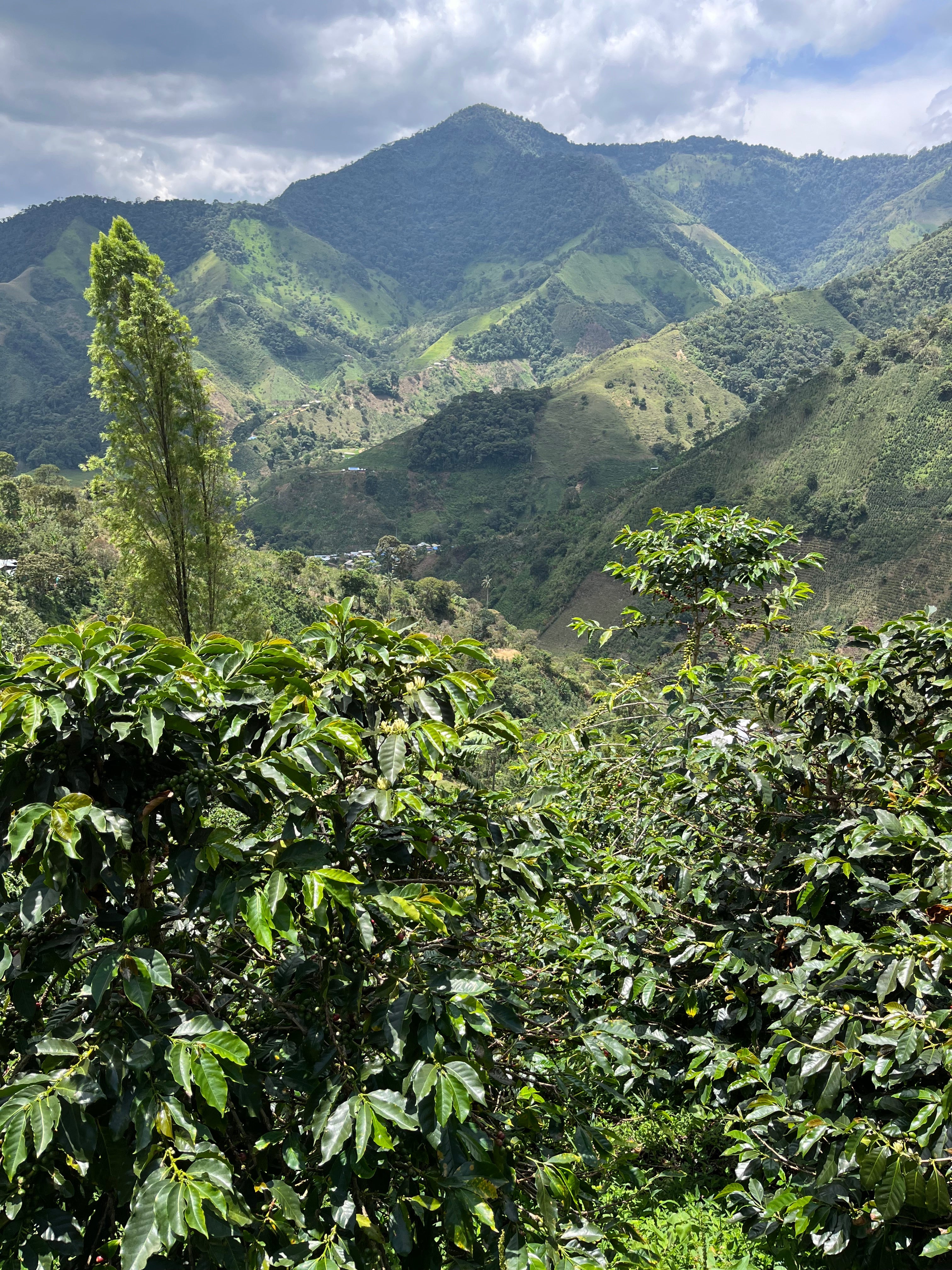 La Roma, Colombia