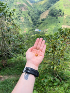 La Roma, Colombia