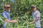 Los Manantiales (Geisha), Guatemala