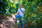 Coffea Diversa, Guatemala