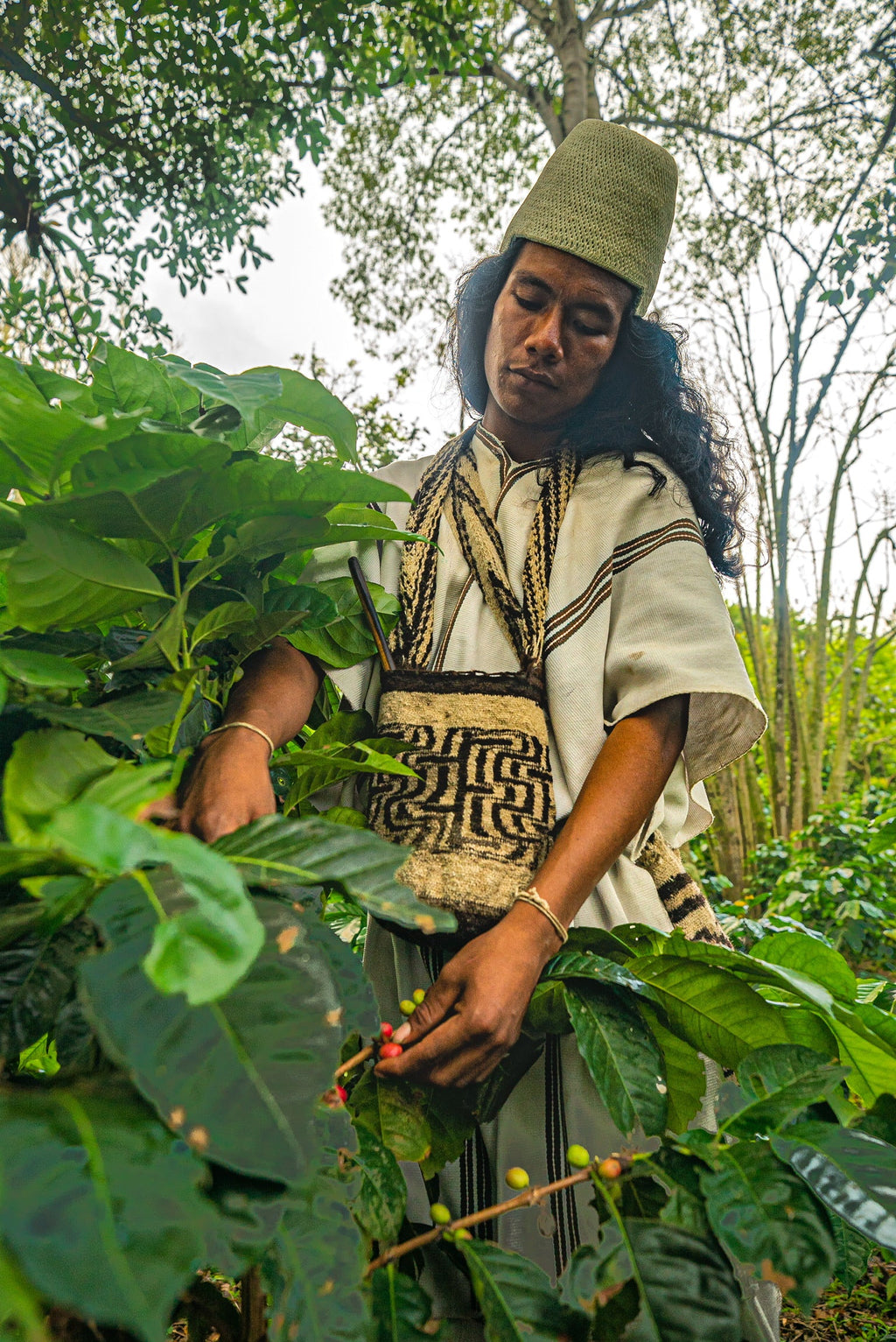 Nabusimake, Colombia