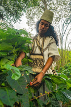 Nabusimake, Colombia