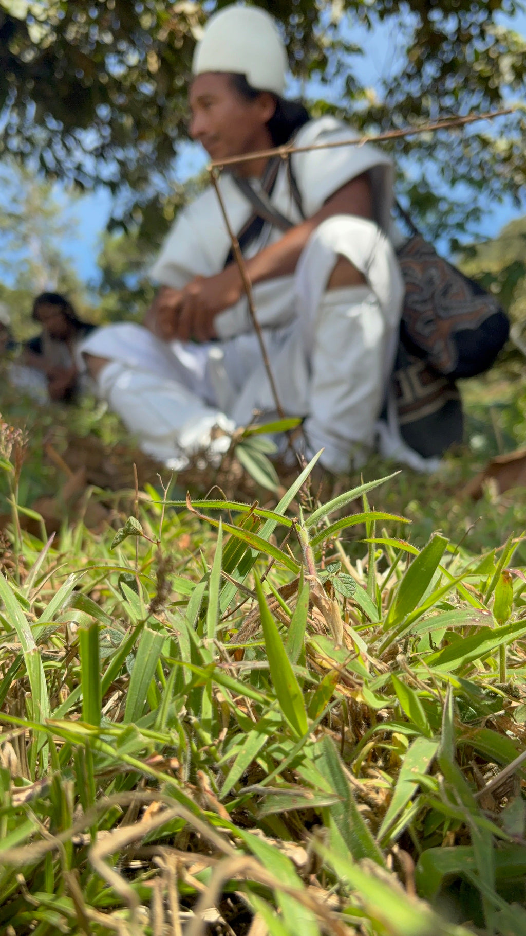Nabusimake, Colombia
