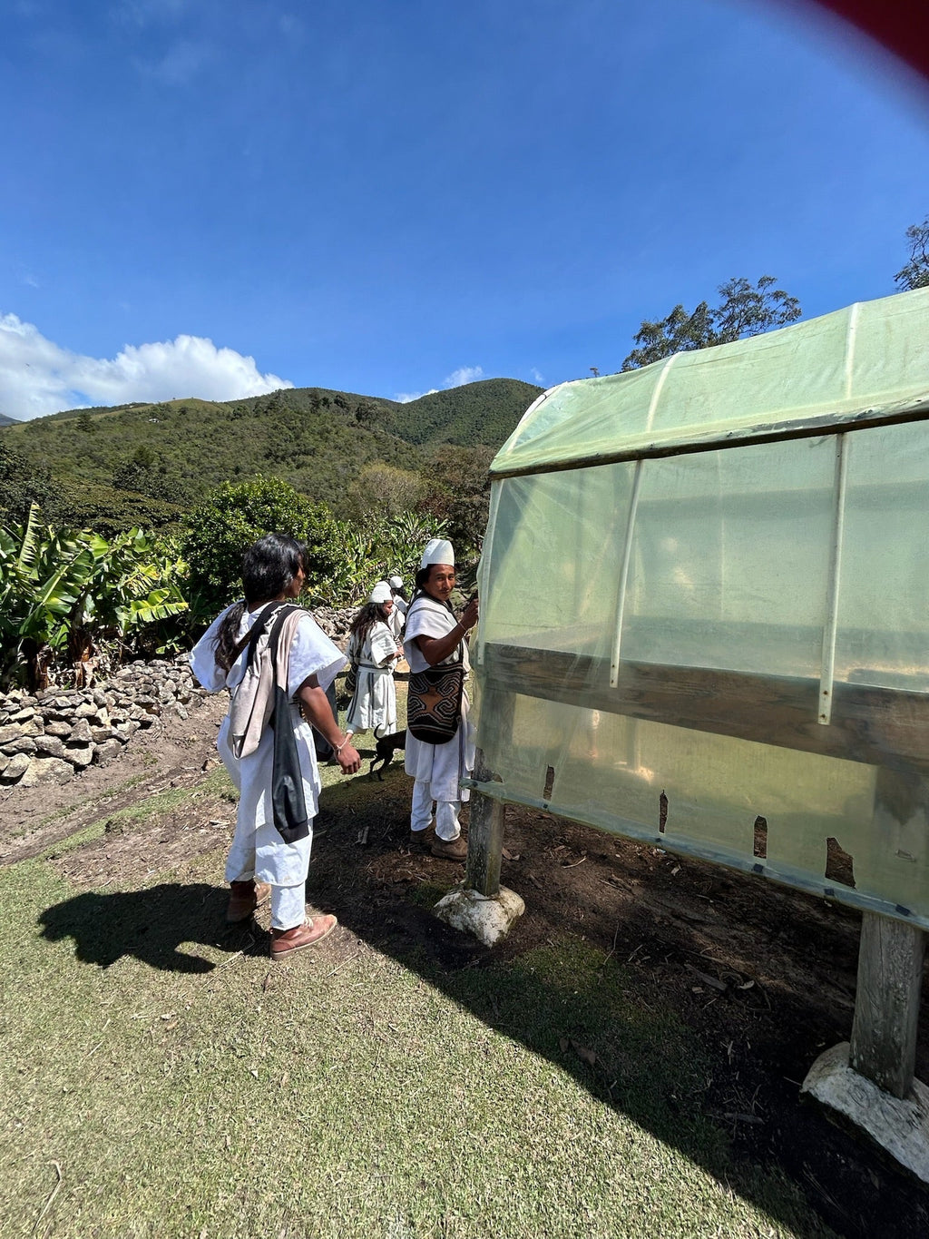 Nabusimake, Colombia