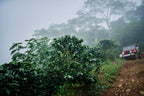 Piedra Blanca, Costa Rica