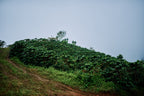 Piedra Blanca, Costa Rica