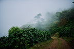 Piedra Blanca, Costa Rica