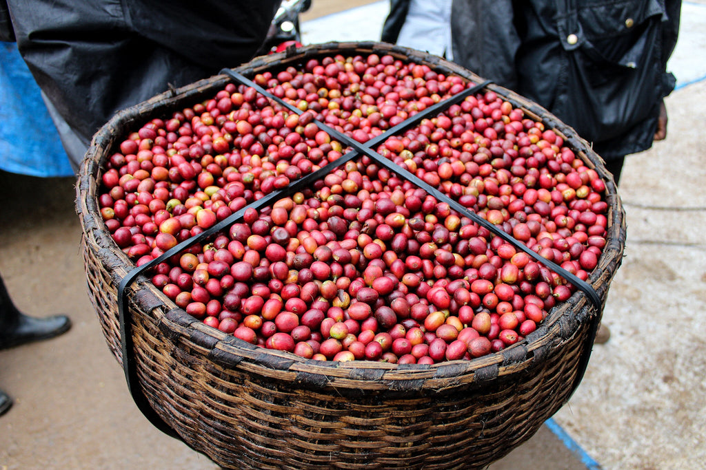 Sironko, Uganda