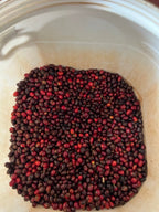 Zarza (Bourbon Aji), Colombia