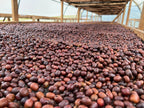 Zarza (Bourbon Aji), Colombia