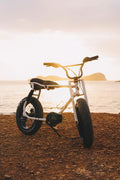 E-Bike Island Adventure