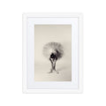Ballerina Bow | Dance-Art Framed Poster #18 (21.5" H x 17.5" W)