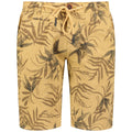 Geographical Norway Bermudas