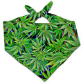 Dazed and Confused Bandana