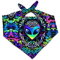 Conscious Cosmos Bandana