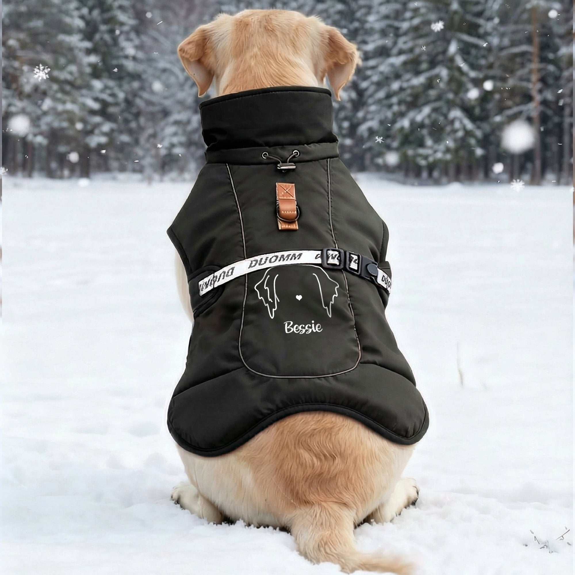 Personalizado lindo perro de línea de estilo de invierno chaqueta a prueba de viento con el nombre de la adopción de aniversario de cumpleaños de regalo para los dueños de mascotas