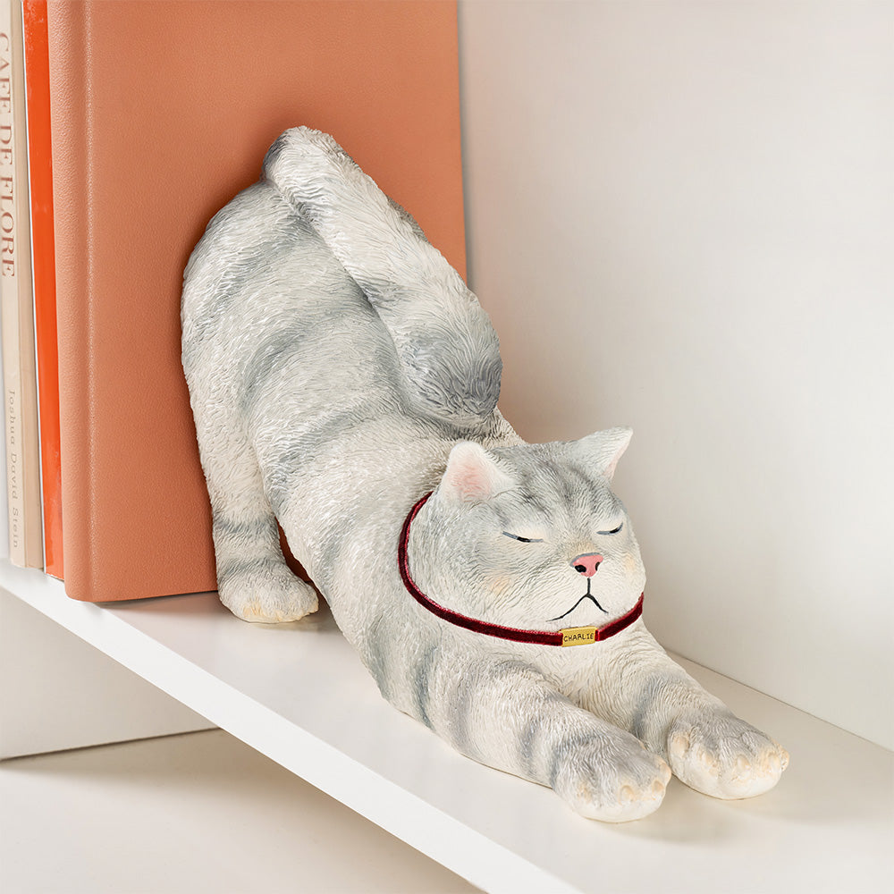 Sujetalibros antideslizante personalizado con nombre Gato perezoso Decoración de estantería de escritorio Regalo de cumpleaños para ratones de biblioteca Amantes de los gatos