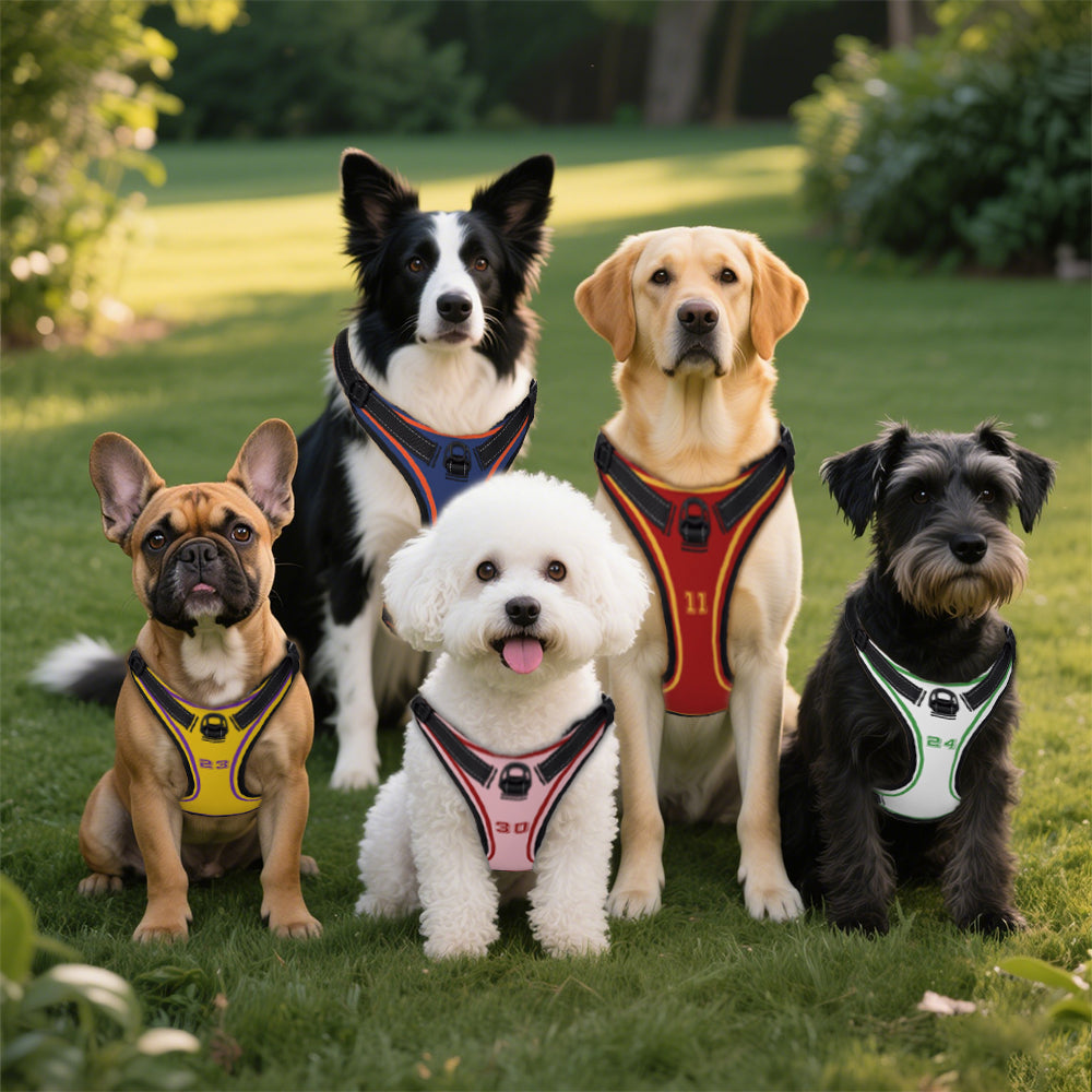 Arnés ajustable personalizado para perros con número deportivo y nombre regalo de cumpleaños para amantes y dueños de perros
