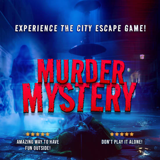 Bristol Murder Mystery: Death in the Shadows
