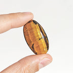 Cabujón de Ojo de Tigre