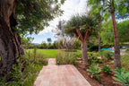 Secluded Hillside Ibiza Villa Surrounded by Beautiful Gardens near Ibiza Town