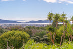 Secluded Hillside Ibiza Villa Surrounded by Beautiful Gardens near Ibiza Town