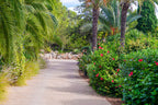 Secluded Hillside Ibiza Villa Surrounded by Beautiful Gardens near Ibiza Town