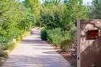 Secluded Hillside Ibiza Villa Surrounded by Beautiful Gardens near Ibiza Town