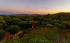 Secluded Hillside Ibiza Villa Surrounded by Beautiful Gardens near Ibiza Town