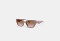 COACH® Women's Gafas De Sol De Ojo De Gato Cuadradas Con Herrajes En C en Beige