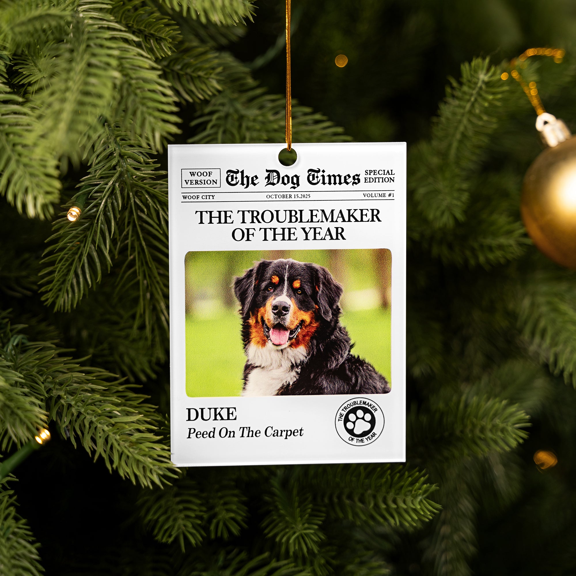 Personalizado The Pets Times Periódico Foto Acrílico Ornamento con Nombre y Texto Árbol Decoración Navidad Cumpleaños Regalo para Pet Lovers